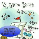 수요일 Daum카페