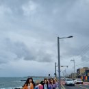 제주도 미니버스 투어 기사포함 여행 정보 및 후기