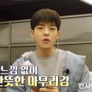 미스타일 이미지