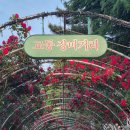 장미수산 이미지