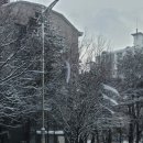 영화가 나를 나를 위로하는 시간인생은 아름다워 | 인생은 아름다워