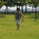 신호공원 이미지