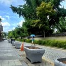 한옥마을역사관 | 일찍 도착한 짬을 활용해서 하얀양옥집과 한옥마을역사관 뚜버기투어/태조이성계역사탐방후기 250706(일...