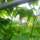 서운농장 이미지