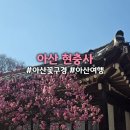 장독 | [아산] 현충사 아산꽃구경 봄여행 홍매화 목련 산수유 아산봄나들이