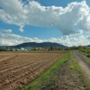 농현농장 이미지