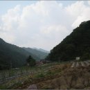 산골집 Daum카페
