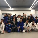 라이프짐MMA 이미지