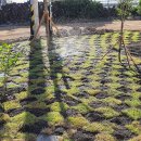 조수리엔 이미지