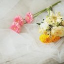 보위플라워즈 이미지