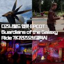 주식회사 동그라미 | [미국_올랜도]디즈니월드 앱콧 EPCOT : Guardians of the Galaxy Ride 가디언즈오브갤럭시(난이도 최상)
