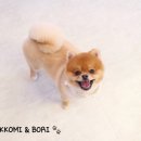 엠케이그루밍샵 이미지