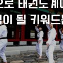 정진태권도 이미지