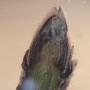 경상남도농업기술원 이미지