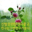 신발은 편한것이 좋고. 이미지