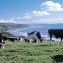 굿라이프슈퍼마켓 이미지