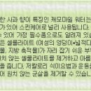 미즈몰