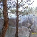 하늘농원 옆 이미지