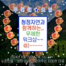 초오록