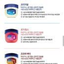 겨울철 입술 관리 바세린 립테라피 로즈 립밤 7g
