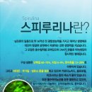 (주)녹십초 이미지