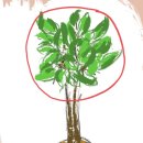 내건지경로당 이미지