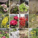 샛별글램핑 이미지