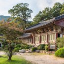 은하사 | 은하사 대웅전, 고요한 고성의 전통 사찰에서 만나는 마음의 쉼표