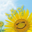 꼬망쎄 이미지