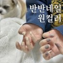 (주)신화비아이에프 | 부산 동래네일 온천동네일 네일도트 반반네일 원컬러 솔직후기