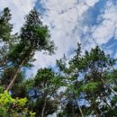 상화농장 이미지