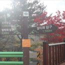 제38회 정기 트레킹 충북 보은 속리산 말티재 꼬부랑길 (2026. 11. 14.) 이미지