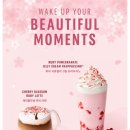 체리블라썸 이미지