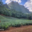 BOUNCE FITNESS 이미지