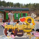 꿀벌나라테마공원 | 칠곡 꿀벌나라테마공원 꿀뜨기 체험 예약 입장료 할인