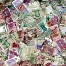 MATE(메이트) 이미지