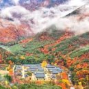 경주 갈만한곳 명소 여행지 경주 불국사 볼거리 이미지