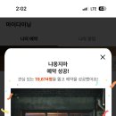 냐옹지마