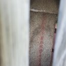 최루백 효자비각 이미지