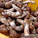 가은산민박 이미지