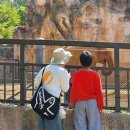 서울구산초등학교 이미지