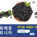 백세농장 이미지