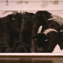 내적유희 이미지