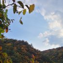 이부바바 이미지