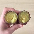 서영암농협 | [서영암농협] 베니하루카 황금호박고구마 고구마 찌는 법