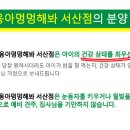 야옹아멍멍해봐강아지고양이충남