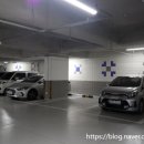 파란문안경원 이미지