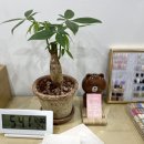 안녕네일 이미지