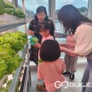 증평인삼문화센터 이미지
