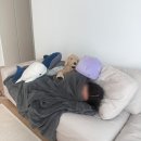 창녕축산 | 2026년 1월 새해지만 변한것은 없다 / 끝나지 않는 집들이 / 휴먼폴플랫